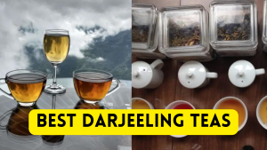 Best Darjeeling Teas